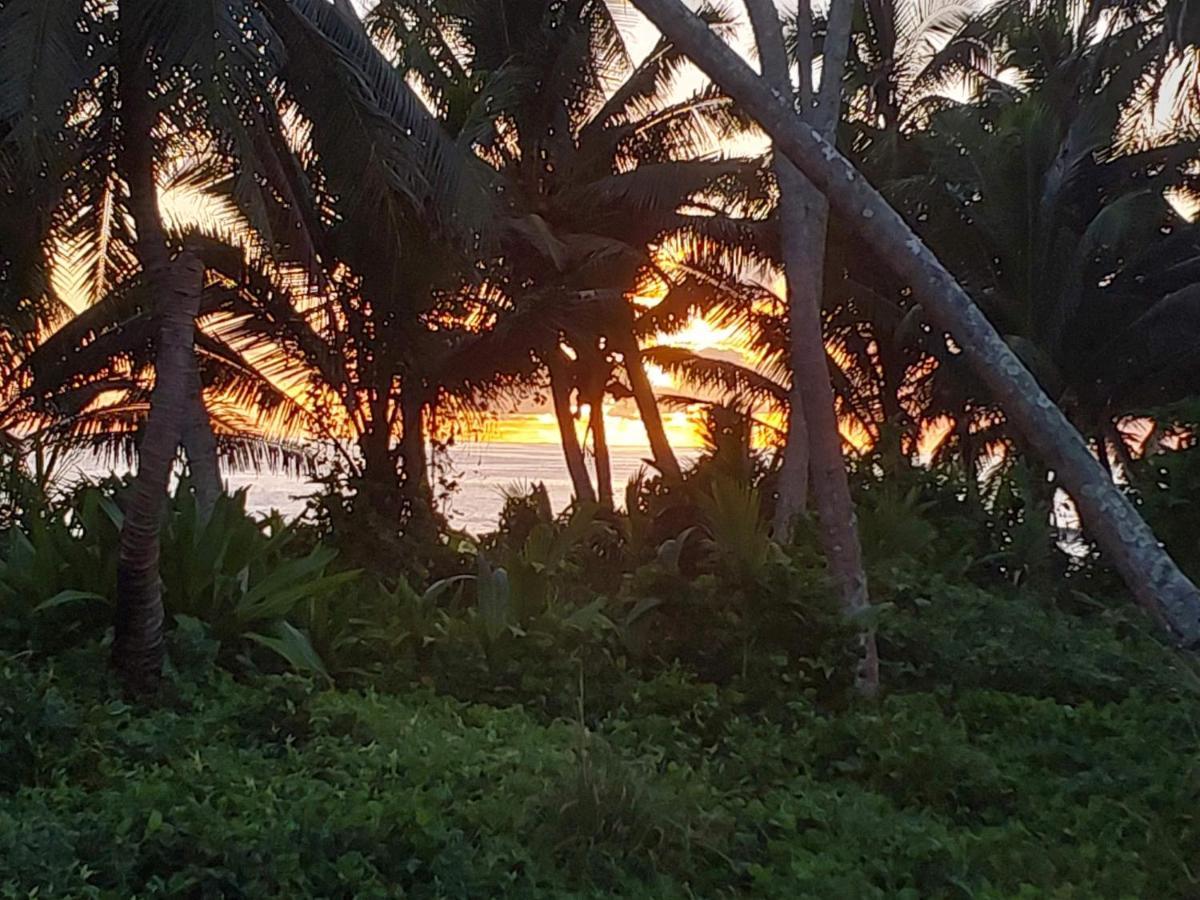 Barefoot Base Tupapa Rarotonga Exterior foto