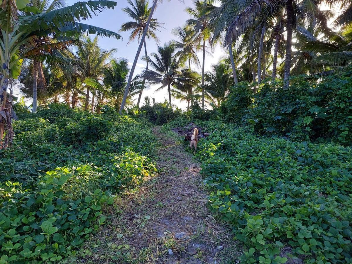 Barefoot Base Tupapa Rarotonga Exterior foto