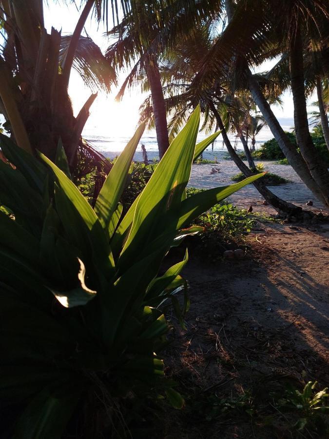 Barefoot Base Tupapa Rarotonga Exterior foto