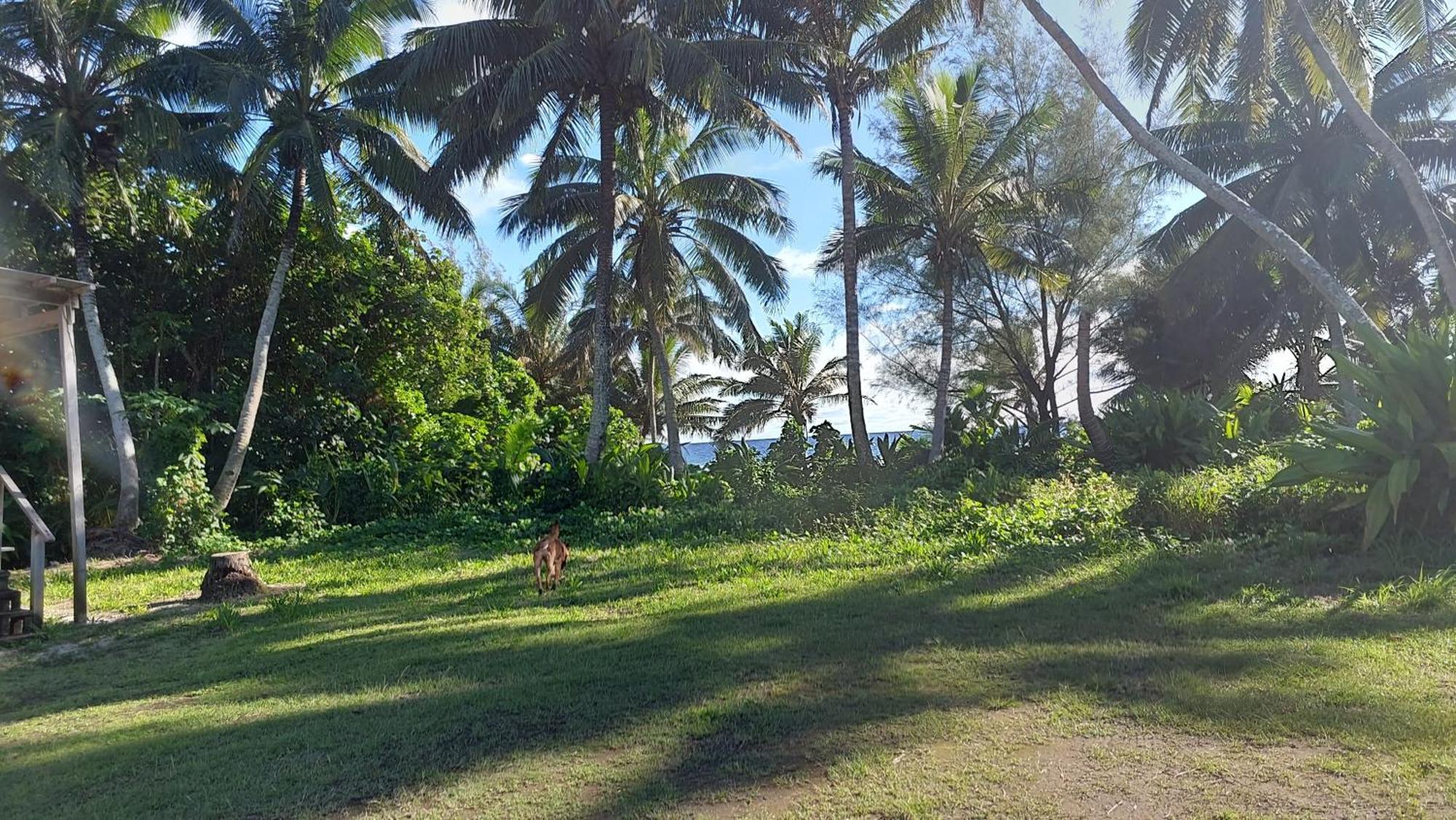 Barefoot Base Tupapa Rarotonga Quarto foto